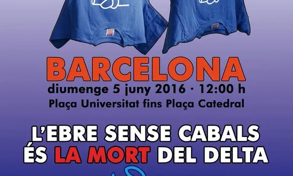 Cartell de la Manifestació per la Defensa de l'Ebre convcada pel dia 5 de juny (imatge: ebre.net)