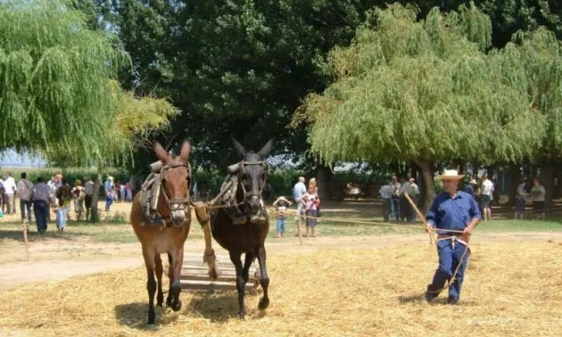 Festa Major del Segar i Batre.