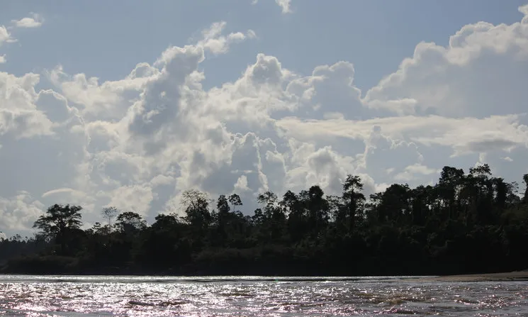 Amazònia Nord del Perú / Font: Alerta Amazònica