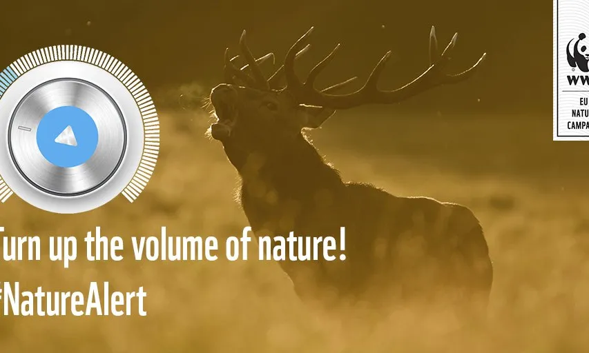 Es poden compartir a la xarxa les creacions amb l'etiqueta #naturealtert (wwf.eu)