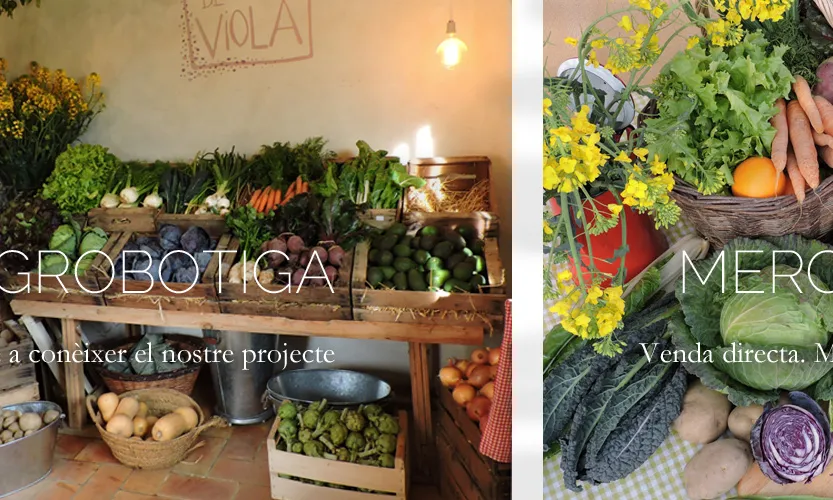 Es pot trobar els productes de l'Hort de la Viola a l'agrobotiga, a mercat a Girona o comprant la cistella on-line (imatge: Hort de la Viola)