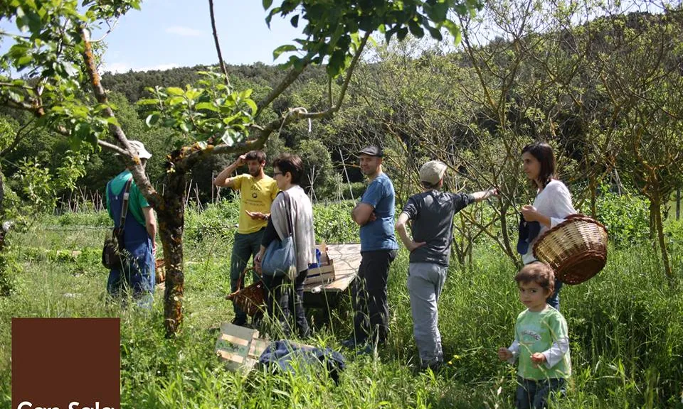 Els fruiters de Can Sala, a la Vall de Llémena (imatge:  Can Sala) 