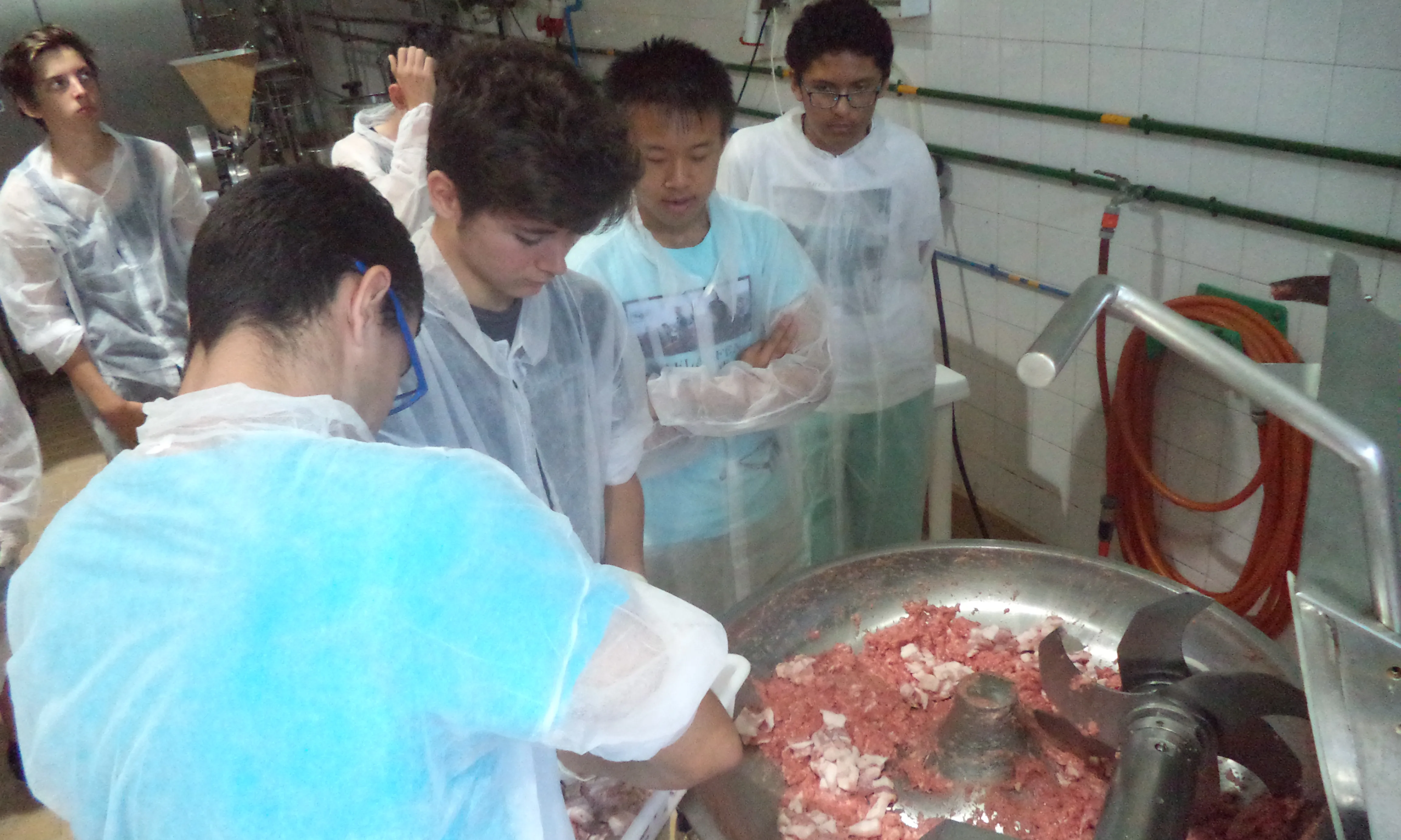 Activitat per endinsar-se en el món de la tecnologia dels aliments (Font: FAS)