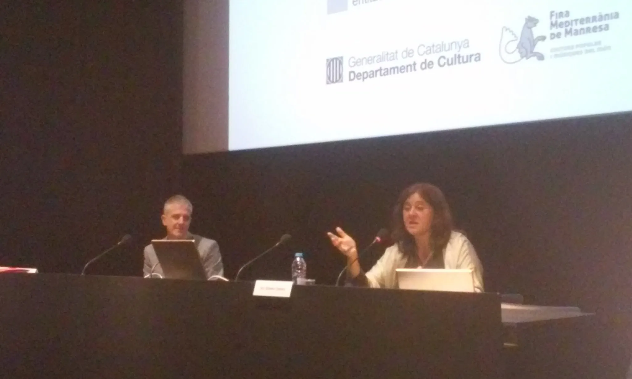 Gemma Sandra durant la seva intervenció a la Jornada sobre cofinançaments culturals. Font: Suport Associatiu