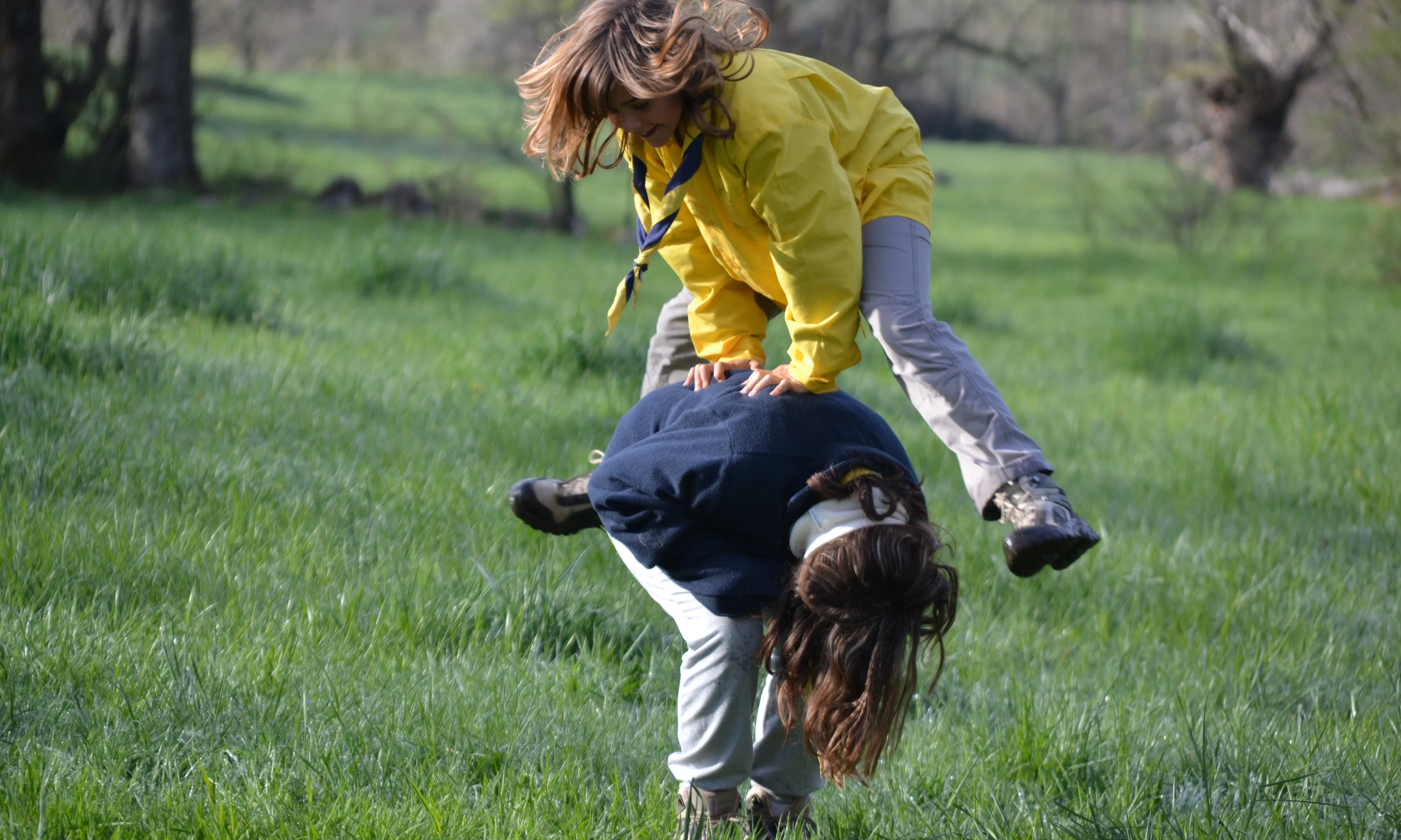 Els recursos estan indexats en 6 categories / Font: Minyons Escoltes i Guies de Catalunya