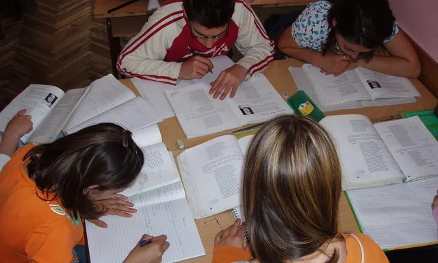 Hi ha importants desigualtats territorials en la segregació escolar.