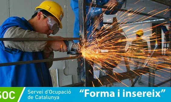 Programa Forma i Insereix 2016