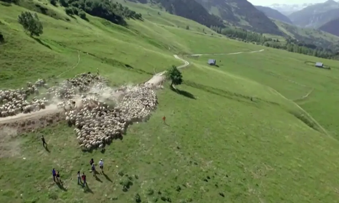 L'Associació Sociocultural Rurbans promou iniciatves per la dinamització sostenible al Pirineu (imatge: fotograma de Viure als Pirineus, ccma.cat)