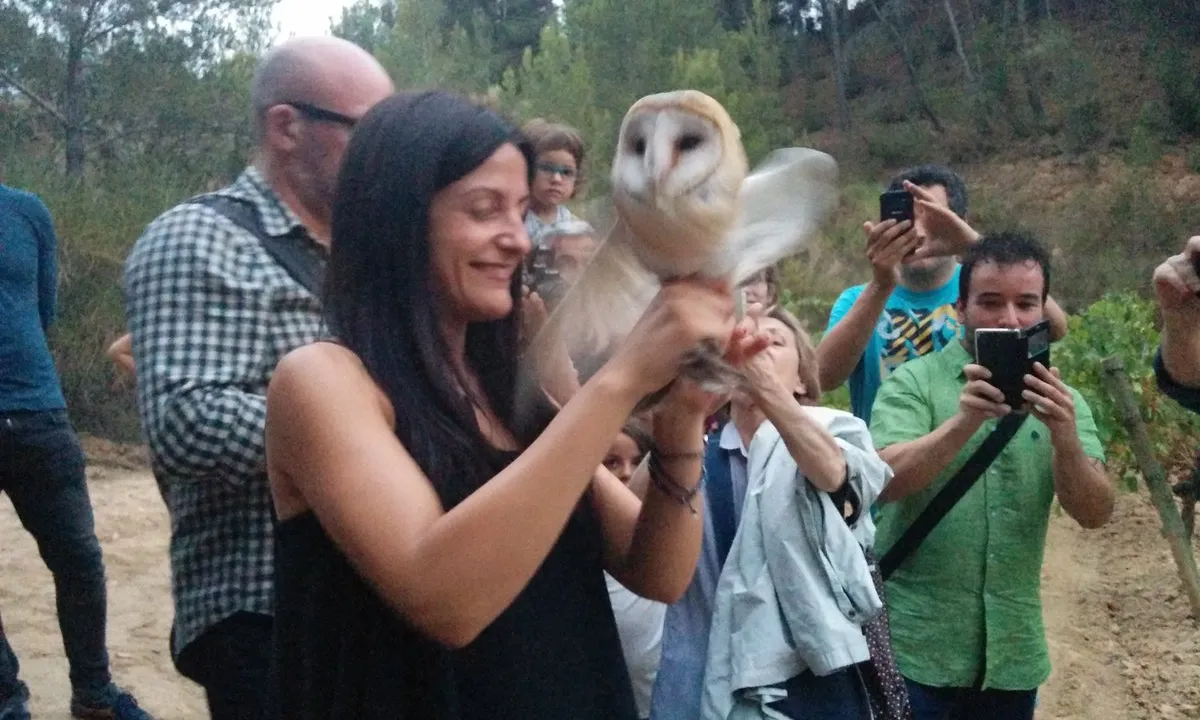 Alliberament d'una òliba a la finca de Muntanyans al juliol del 2016 (imatge: wnature.org)