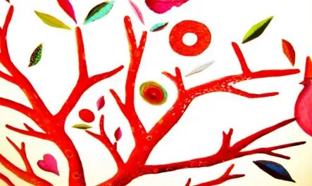 Crear una associació.