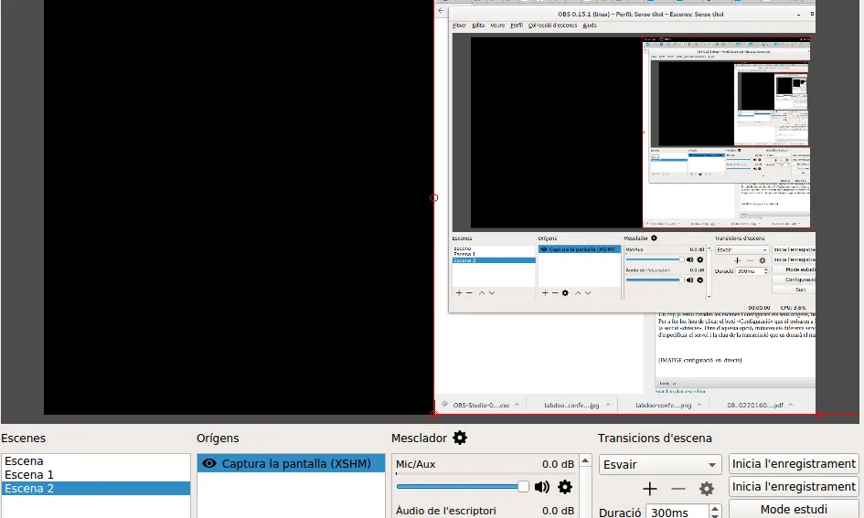 Pels webinars, és interessant crear una escena com la de compartir la pantalla