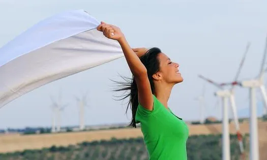 Com garantir que rebem energies renovables a casa ? (imatge: ecoserveis)