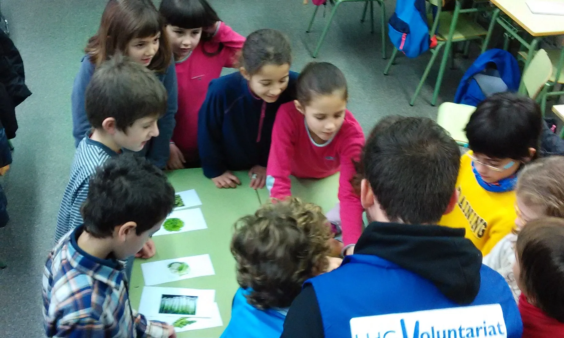 Un voluntari en el projecte d'apadrinament d'horts, de l'Hort eco-solidari de la UdG (Font: UdG)