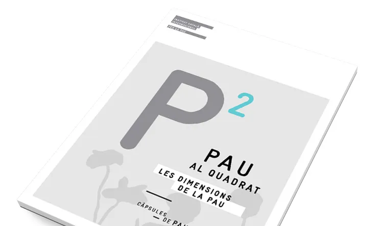 Projecte educatiu de les càpsules. Font: ICIP