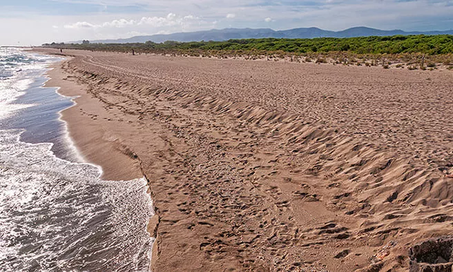 Platja de la Pineda de Cal Francès, a Viladecans (imatge: amb.cat)