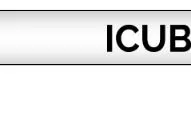 ICUB Institut de Cultura