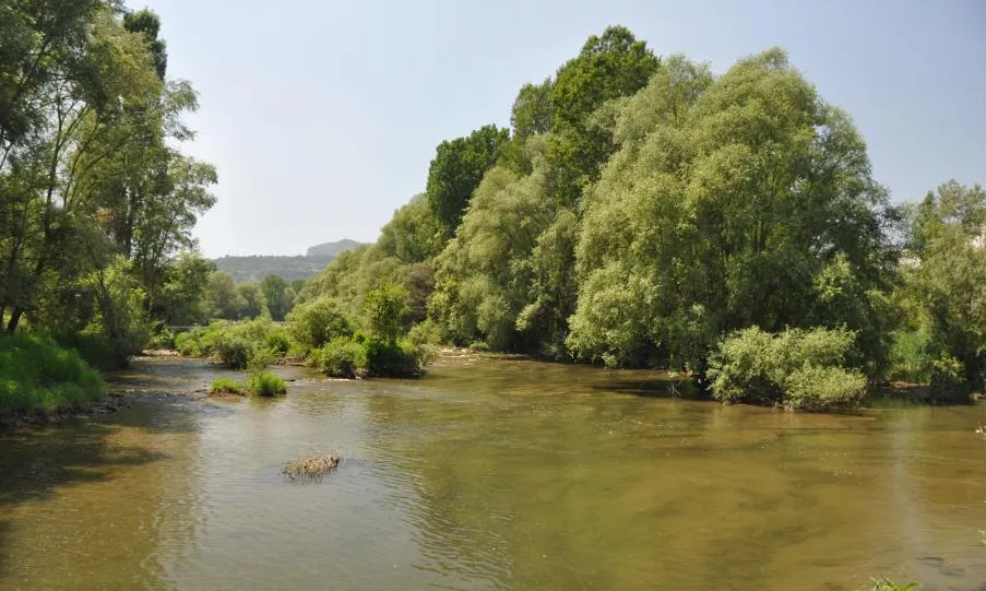 La botiga de Vic organitza una jornada de voluntariat ambiental a les riberes del Ter, al meandre del Sorral (imatge: museudelter.cat)
