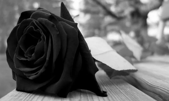 La formació tindrà lloc els dies 15 i 22 d'octubre.