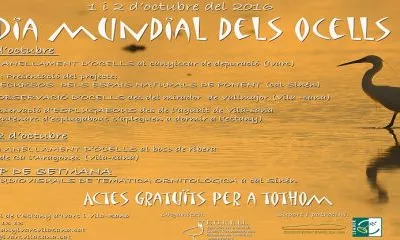 Dissabte 1 i diumenge 2 d'octubre es celebra el Dia Mundial dels Ocells a l'Estany d'Ivars i Vila-sana (imatge:http://www.estanyivarsvilasana.cat)  