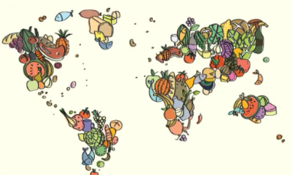 Mapa del món elaborat per Nutrició Sense Fronteres. Font: Nutrició Sense Fronteres