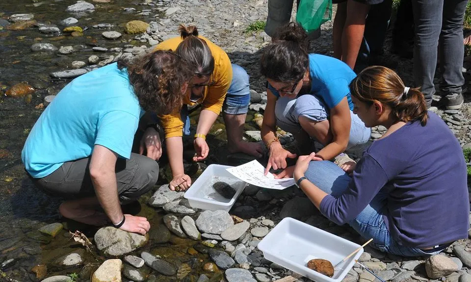 Identificació de macroinvertebrats durant una inspecció de la passada campanya (imatge: projecterius.cat)
