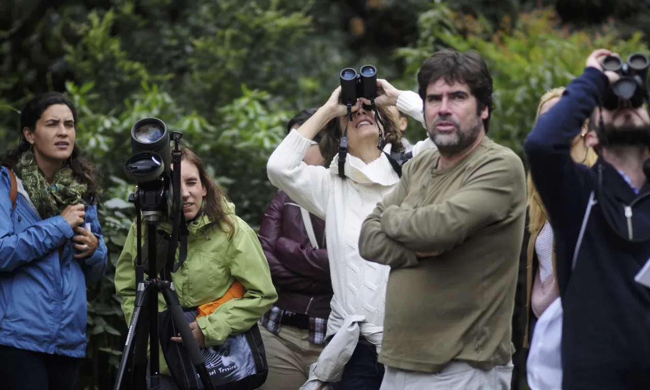 "Falcons Urbans" amb Sergi Garcia de Galanthus