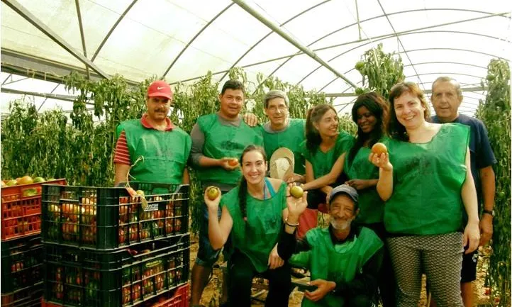 Espigoladors recuperen fruites i verdures dels camps, amb la col·laboració de voluntaris i voluntàries espigoladors (imatge: espigoladors) 