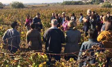Most Festival Internacional de Cinema del Vi i el Cava (Vilafranca del Penedès, del 3 al 13 de novembre).