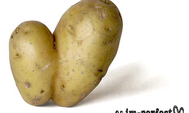Les fruites i verdures imperfectes, descartades dels circuits de venda convencionals només per valors estètics, són els ingredients per l'elaboració dels productes d' Es Imperfect, de Espigoladors (imatge: es imperfect)