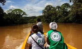 Brigadista de les PBI. Font: PBI