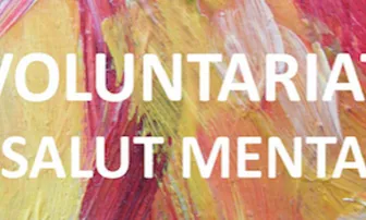Jornada de Voluntaris.cat