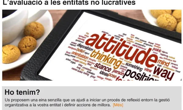 Gestió organitzativa de l'entitat.