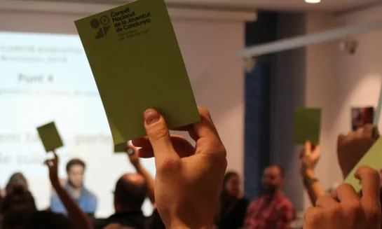 Votació al CNJC de la resolució sobre suïcidi. Font: CNJC