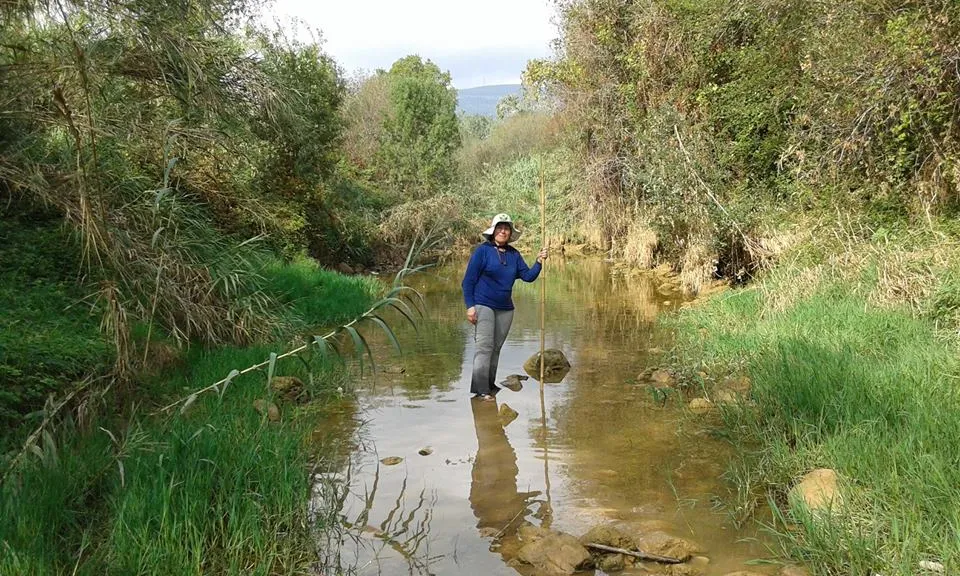 Inspecció al riu Francolí del grup de voluntariat ambiental de La Pobla (imatge: Associació Hàbitats)