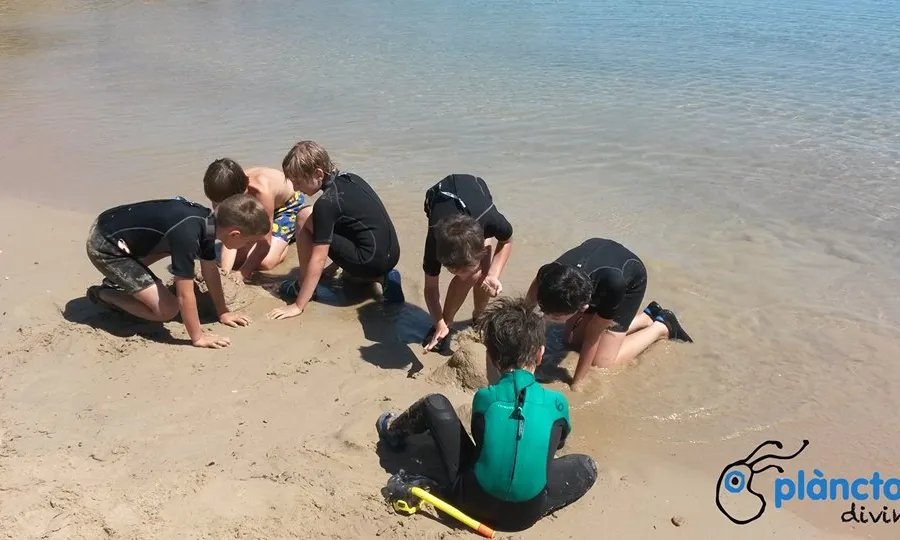 Caps de setmana científics, i tallers i escola dedicada a les ciències del mar, per a infants i famílies, és la proposta de Plàncton (imatge: plancton.cat) 