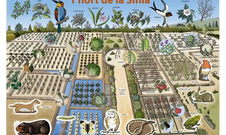 L'Hort de La Sínia és una aula de natura viva a Tamarit, al Baix Gaià (imatge: hort de la sínia)