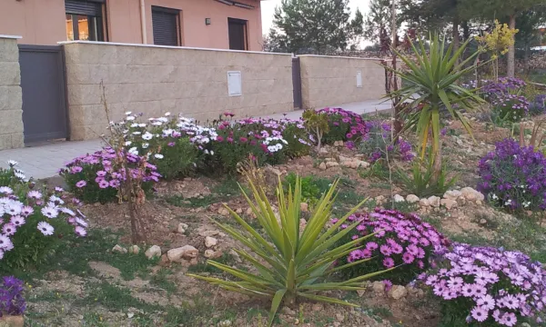 La Muralleta, un exemple de cohousing. Font: web de La Muralleta