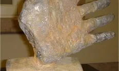 El premi té per objectiu reconèixer persones, col·lectius o entitats que hagin destacat en la seva lluita pels drets humans. Foto: IDHC.