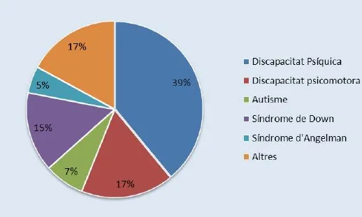 Gràfica que mostra les diferents patologies que atén l'entitat.