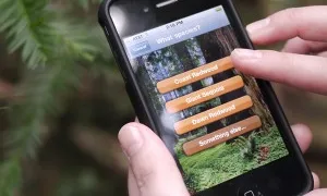 Es pot ajudar a identificar la biodiversitat amb iNaturalist (imatge: iNaturaist.org)