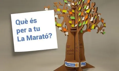 Deixa el teu missatge a l'arbre de la Marató.