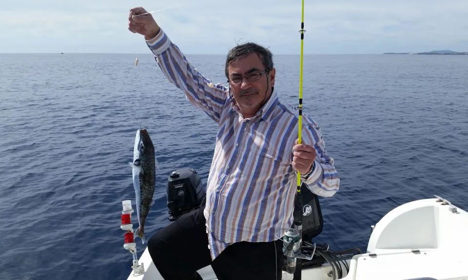 Peix globus detectat i informat a Observadores del Mar (imatge: observadores del mar)