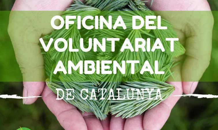 L'Oficina del Voluntariat Ambiental és un punt de trobada per a persones i entitats immplicades en el voluntariat ambiental (Imatge: voluntariatambiental.cat)