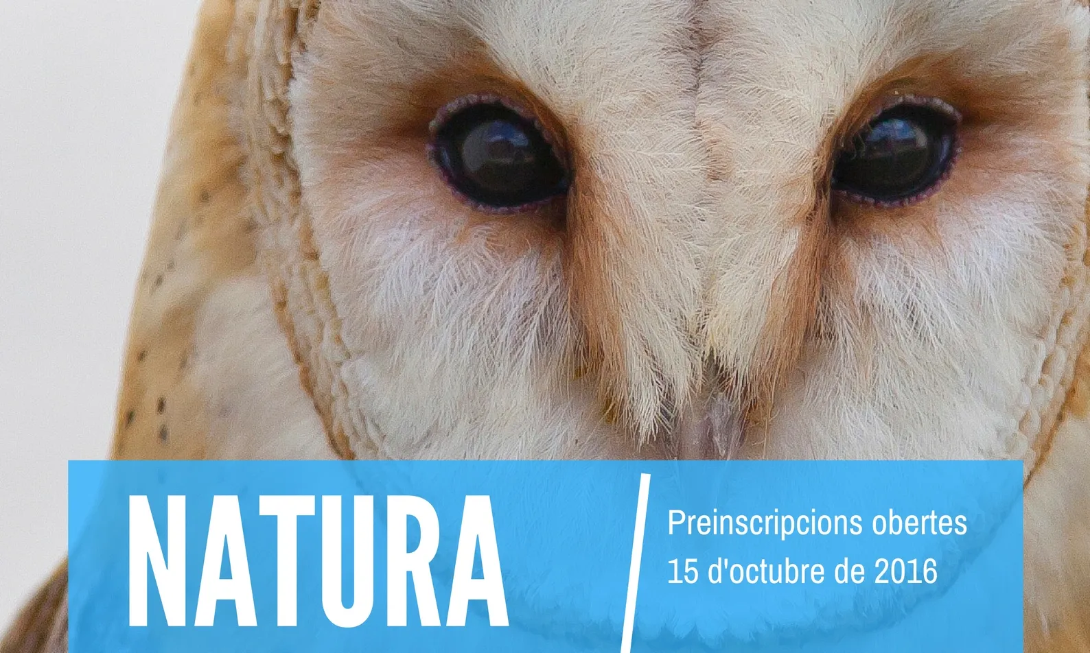 Postgrau Coneixement del Món Animal