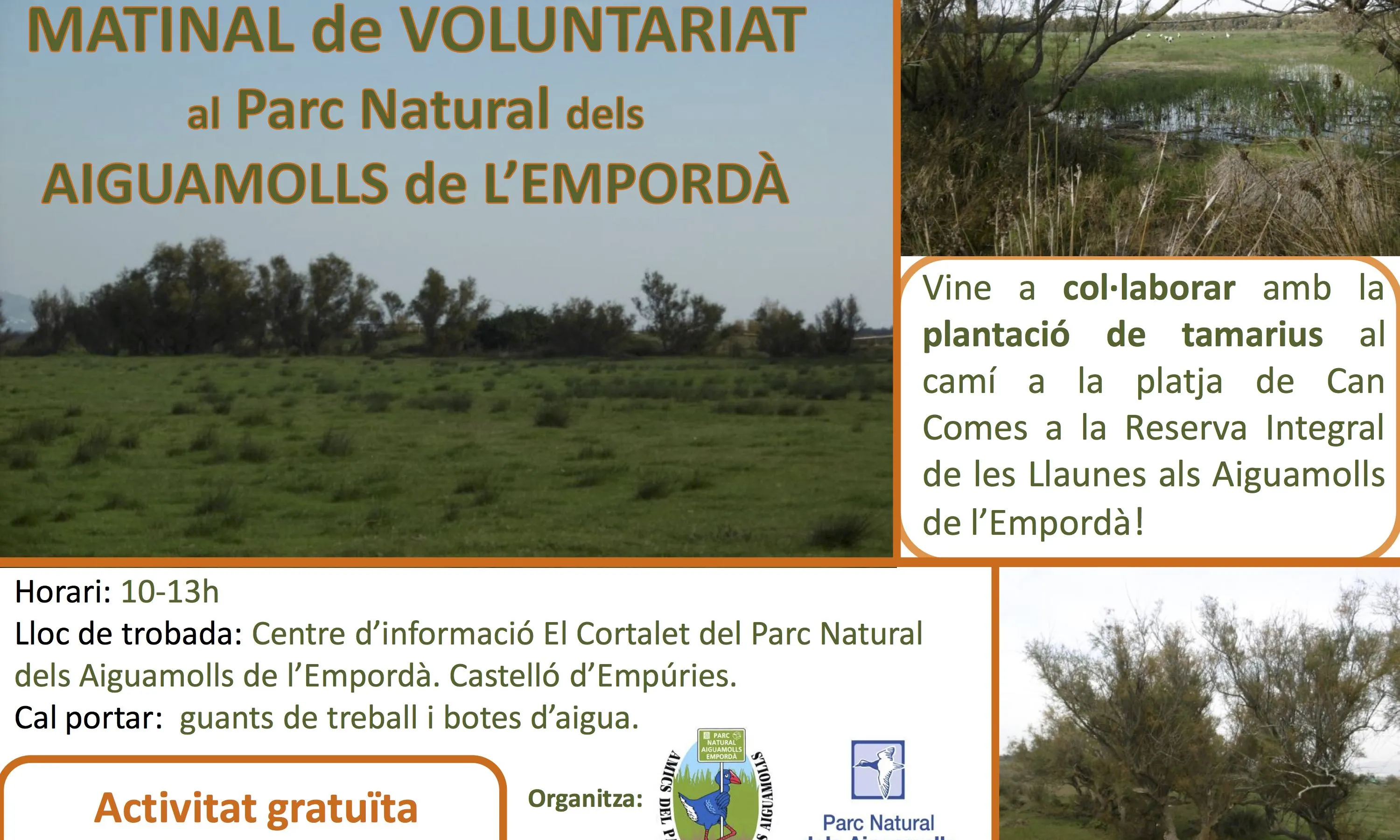 Jornada de voluntariat ambiental amb l'Apnae als Aiguamolls de l'Empordà (imatge: apnae.org)