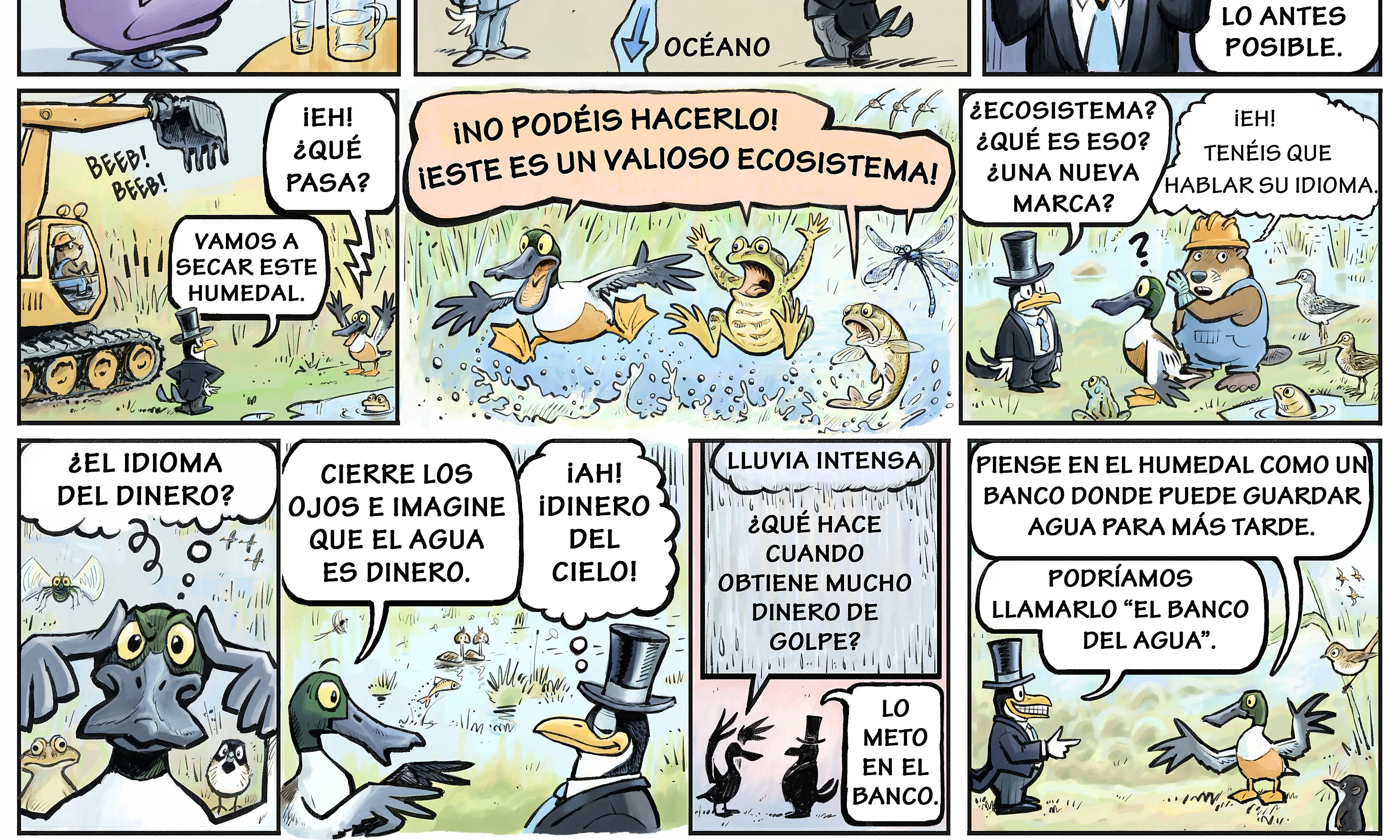 El valor de les zones humides com a reservori d'aigua explicat en aquest còmic (imatge: worldwetlandsday.org)