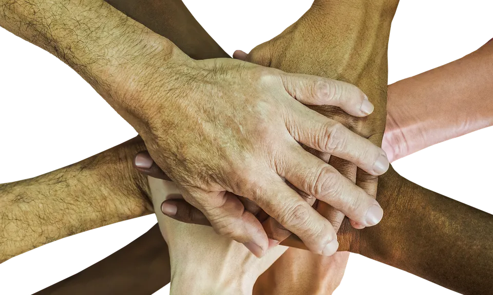 L'objectiu del consistori és reduir les subvencions directes i ampliar les convocatòries obertes. Font: Pixabay