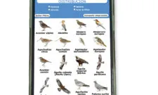 L'Identificador està estructurat seguint claus dicotòmiques, de forma molt visual i instuïtiva (imatge: seo.org)
