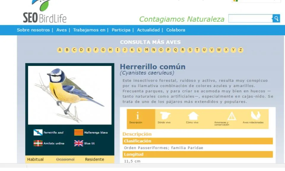 Un cop identificada l'au, s'obre una fitxa informativa (imatge: seo.org)