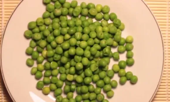 Fotograma del vídeo promocional de Videopèsols